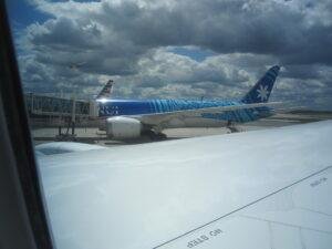 Boeing 787-8